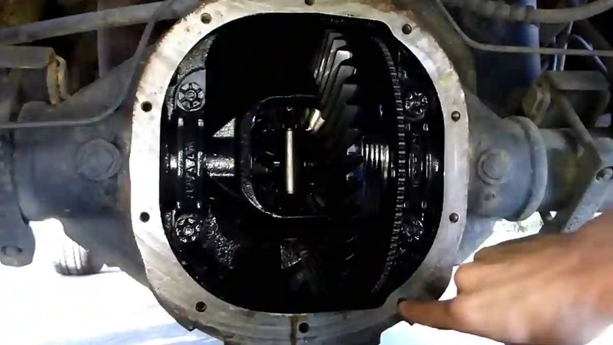 differential fluid change cost
