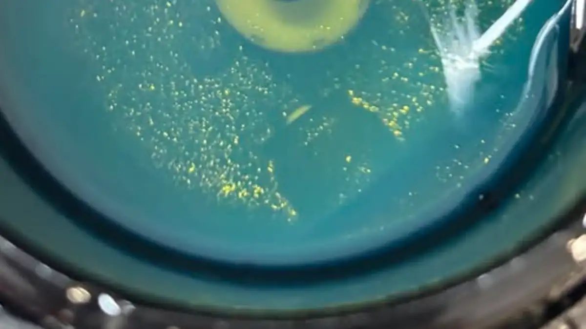 Metal Shavings in Detroit DD15 Fuel Filter